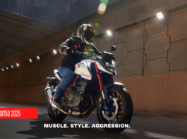 Honda CB750 Hornet Gears Up for India: Worth the Buzz?